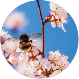 Label2X - Muurcirkel hommel - Ø 60 cm - Forex - Multicolor - Wandcirkel - Rond Schilderij - Muurdecoratie Cirkel - Wandecoratie rond - Decoratie voor woonkamer of slaapkamer