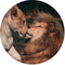 Label2X - Muurcirkel lion couple - Ø 80 cm - Forex - Multicolor - Wandcirkel - Rond Schilderij - Muurdecoratie Cirkel - Wandecoratie rond - Decoratie voor woonkamer of slaapkamer