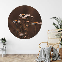 Label2X - Muurcirkel madelief - Ø 140 cm - Forex - Multicolor - Wandcirkel - Rond Schilderij - Muurdecoratie Cirkel - Wandecoratie rond - Decoratie voor woonkamer of slaapkamer