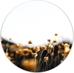 Label2X - Muurcirkel mini yellow flowers - Ø 20 cm - Dibond - Multicolor - Wandcirkel - Rond Schilderij - Muurdecoratie Cirkel - Wandecoratie rond - Decoratie voor woonkamer of slaapkamer