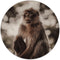 Label2X - Muurcirkel monkey - Ø 80 cm - Dibond - Multicolor - Wandcirkel - Rond Schilderij - Muurdecoratie Cirkel - Wandecoratie rond - Decoratie voor woonkamer of slaapkamer