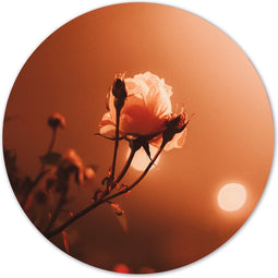 Label2X - Muurcirkel morning rose - Ø 20 cm - Forex - Multicolor - Wandcirkel - Rond Schilderij - Muurdecoratie Cirkel - Wandecoratie rond - Decoratie voor woonkamer of slaapkamer