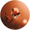 Label2X - Muurcirkel morning rose - Ø 60 cm - Forex - Multicolor - Wandcirkel - Rond Schilderij - Muurdecoratie Cirkel - Wandecoratie rond - Decoratie voor woonkamer of slaapkamer
