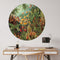 Label2X - Muurcirkel Muscinae van Ernst Haeckel - Ø 40 cm - Forex - Multicolor - Wandcirkel - Rond Schilderij - Muurdecoratie Cirkel - Wandecoratie rond - Decoratie voor woonkamer of slaapkamer