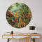 Label2X - Muurcirkel Muscinae van Ernst Haeckel - Ø 60 cm - Forex - Multicolor - Wandcirkel - Rond Schilderij - Muurdecoratie Cirkel - Wandecoratie rond - Decoratie voor woonkamer of slaapkamer