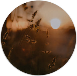 Label2X - Muurcirkel mystic gold - Ø 140 cm - Forex - Multicolor - Wandcirkel - Rond Schilderij - Muurdecoratie Cirkel - Wandecoratie rond - Decoratie voor woonkamer of slaapkamer