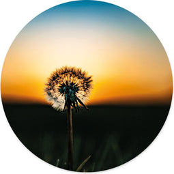 Label2X - Muurcirkel paardenbloem - Ø 60 cm - Forex - Multicolor - Wandcirkel - Rond Schilderij - Muurdecoratie Cirkel - Wandecoratie rond - Decoratie voor woonkamer of slaapkamer