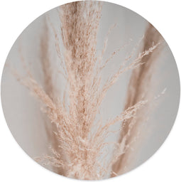 Label2X - Muurcirkel - Pampasgras Light - Ø 100 cm - Dibond - Wandcirkel natuur - Wandcirkel rond - Wanddecoratie woonkamer - Wandcirkel - Muurcirkel binnen - Wandbord rond - Muurcirkel - WallCircle