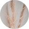 Label2X - Muurcirkel - Pampasgras Light - Ø 100 cm - Forex - Wandcirkel natuur - Wandcirkel rond - Wanddecoratie woonkamer - Wandcirkel - Muurcirkel binnen - Wandbord rond - Muurcirkel - WallCircle