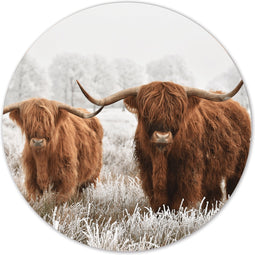 Label2X - Muurcirkel Schotse hooglander - sneeuw - Ø 12 cm - Forex - Multicolor - Wandcirkel - Rond Schilderij - Muurdecoratie Cirkel - Wandecoratie rond - Decoratie voor woonkamer of slaapkamer