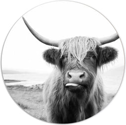 Label2X - Muurcirkel Schotse hooglander - zwart-wit met tong - Ø 80 cm - Forex - Multicolor - Wandcirkel - Rond Schilderij - Muurdecoratie Cirkel - Wandecoratie rond - Decoratie voor woonkamer of slaapkamer