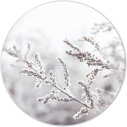 Label2X - Muurcirkel snowy twig - Ø 20 cm - Forex - Multicolor - Wandcirkel - Rond Schilderij - Muurdecoratie Cirkel - Wandecoratie rond - Decoratie voor woonkamer of slaapkamer