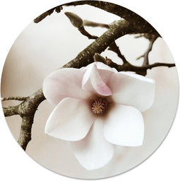Label2X - Muurcirkel soft white - Ø 30 cm - Dibond - Multicolor - Wandcirkel - Rond Schilderij - Muurdecoratie Cirkel - Wandecoratie rond - Decoratie voor woonkamer of slaapkamer