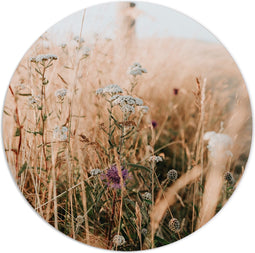 Label2X - Muurcirkel spring mix - Ø 80 cm - Forex - Multicolor - Wandcirkel - Rond Schilderij - Muurdecoratie Cirkel - Wandecoratie rond - Decoratie voor woonkamer of slaapkamer