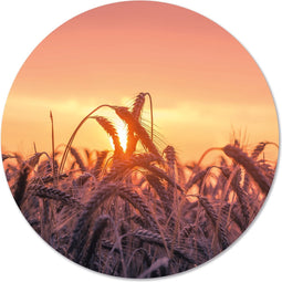 Label2X - Muurcirkel sunset - Ø 120 cm - Forex - Multicolor - Wandcirkel - Rond Schilderij - Muurdecoratie Cirkel - Wandecoratie rond - Decoratie voor woonkamer of slaapkamer