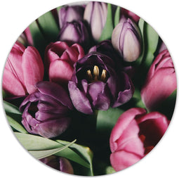 Label2X - Muurcirkel - Tulpen - Ø 20 cm - Dibond - Multicolor - Wandcirkel - Rond Schilderij - Bloemen en Planten - Muurdecoratie Cirkel - Wandecoratie rond - Decoratie voor woonkamer of slaapkamer