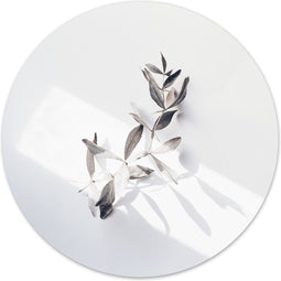Label2X - Muurcirkel - Twigly - Ø 12 cm - Dibond - Wandcirkel natuur - Wandcirkel rond - Wanddecoratie woonkamer - Wandcirkel - Muurcirkel binnen - Wandbord rond - Muurcirkel - WallCircle
