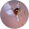 Label2X - Muurcirkel vogel besje - Ø 100 cm - Forex - Multicolor - Wandcirkel - Rond Schilderij - Muurdecoratie Cirkel - Wandecoratie rond - Decoratie voor woonkamer of slaapkamer