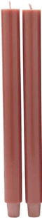 Label2X - Muurcirkel vogel riet - Ø 60 cm - Dibond - Multicolor - Wandcirkel - Rond Schilderij - Muurdecoratie Cirkel - Wandecoratie rond - Decoratie voor woonkamer of slaapkamer