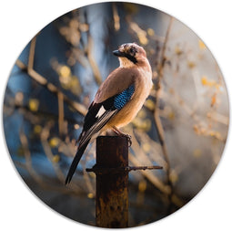 Label2X - Muurcirkel vogeltje - Ø 80 cm - Dibond - Multicolor - Wandcirkel - Rond Schilderij - Muurdecoratie Cirkel - Wandecoratie rond - Decoratie voor woonkamer of slaapkamer