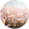 Label2X - Muurcirkel winter morning flower - Ø 140 cm - Dibond - Multicolor - Wandcirkel - Rond Schilderij - Muurdecoratie Cirkel - Wandecoratie rond - Decoratie voor woonkamer of slaapkamer
