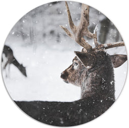 Label2X - Muurcirkel winterhert - Ø 30 cm - Forex - Multicolor - Wandcirkel - Rond Schilderij - Muurdecoratie Cirkel - Wandecoratie rond - Decoratie voor woonkamer of slaapkamer