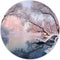 Label2X - Muurcirkel winterlandschap - Ø 12 cm - Forex - Multicolor - Wandcirkel - Rond Schilderij - Muurdecoratie Cirkel - Wandecoratie rond - Decoratie voor woonkamer of slaapkamer