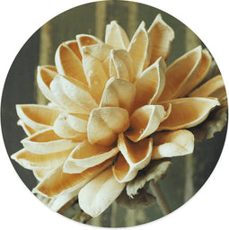 Label2X Muurcirkel Yellow - Ø 40 cm - Forex - Multicolor - Wandcirkel - Rond Schilderij - Bloemen en Planten - Muurdecoratie Cirkel - Wandecoratie rond - Decoratie voor woonkamer of slaapkamer