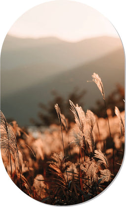 Label2X - Muurovaal - Golden Grass - M - 90 x 55 cm - Wandovaal natuur - Wandovaal rond - Wanddecoratie woonkamer - Wandovaal - Muurovaal binnen - Wandbord ovaal - Muurovaal