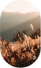 Label2X - Muurovaal - Golden Grass - S - 60 x 37 cm - Wandovaal natuur - Wandovaal rond - Wanddecoratie woonkamer - Wandovaal - Muurovaal binnen - Wandbord ovaal - Muurovaal