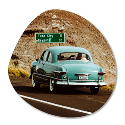 Label2X Organic shape blue car