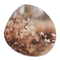 Label2X Organic shape cozy flower