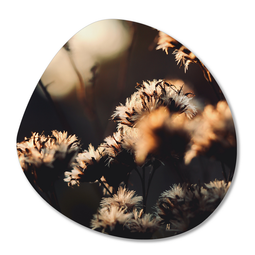 Label2X Organic shape dried flower