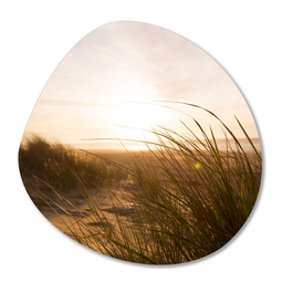 Label2X Organic shape dunes