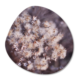 Label2X Organic form fluff