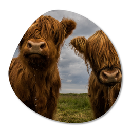 Label2X Organic form highlander duo