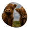 Label2X Organic form highlander duo
