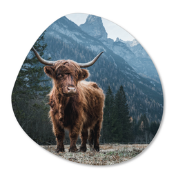 Label2X Organic shape highlander mountain