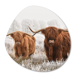 Label2X Organic form highlander snow