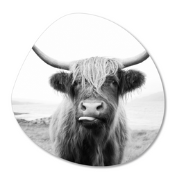 Label2X Organic shape highlander tongue