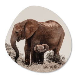 Label2X Organic shape elephant baby