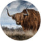 Label2X - Schilderij - Buffel Ø - Multicolor - 80 X 80 Cm