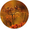 Label2X - Schilderij - Droogbloem Ø - Multicolor - 40 X 40 Cm