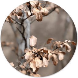 Label2X - Schilderij - Faded Ø - Multicolor - 40 X 40 Cm