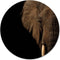 Label2X - Schilderij - Olifant Hoofd Ø - Multicolor - 20 X 20 Cm