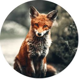 Label2X - Schilderij - Vos Ø Aanbevolen - Multicolor - 140 X 140 Cm