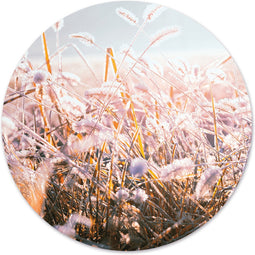 Label2X - Schilderij - Winter Morning Flower Ø Aanbevolen - Multicolor - 100 X 100 Cm