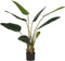 LABEL51 Kunstplant Strelitzia 70x70x100 cm - Groen - Kunststof