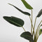 LABEL51 Kunstplant Strelitzia 70x70x100 cm - Groen - Kunststof