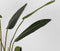 LABEL51 Kunstplant Strelitzia 70x70x100 cm - Groen - Kunststof